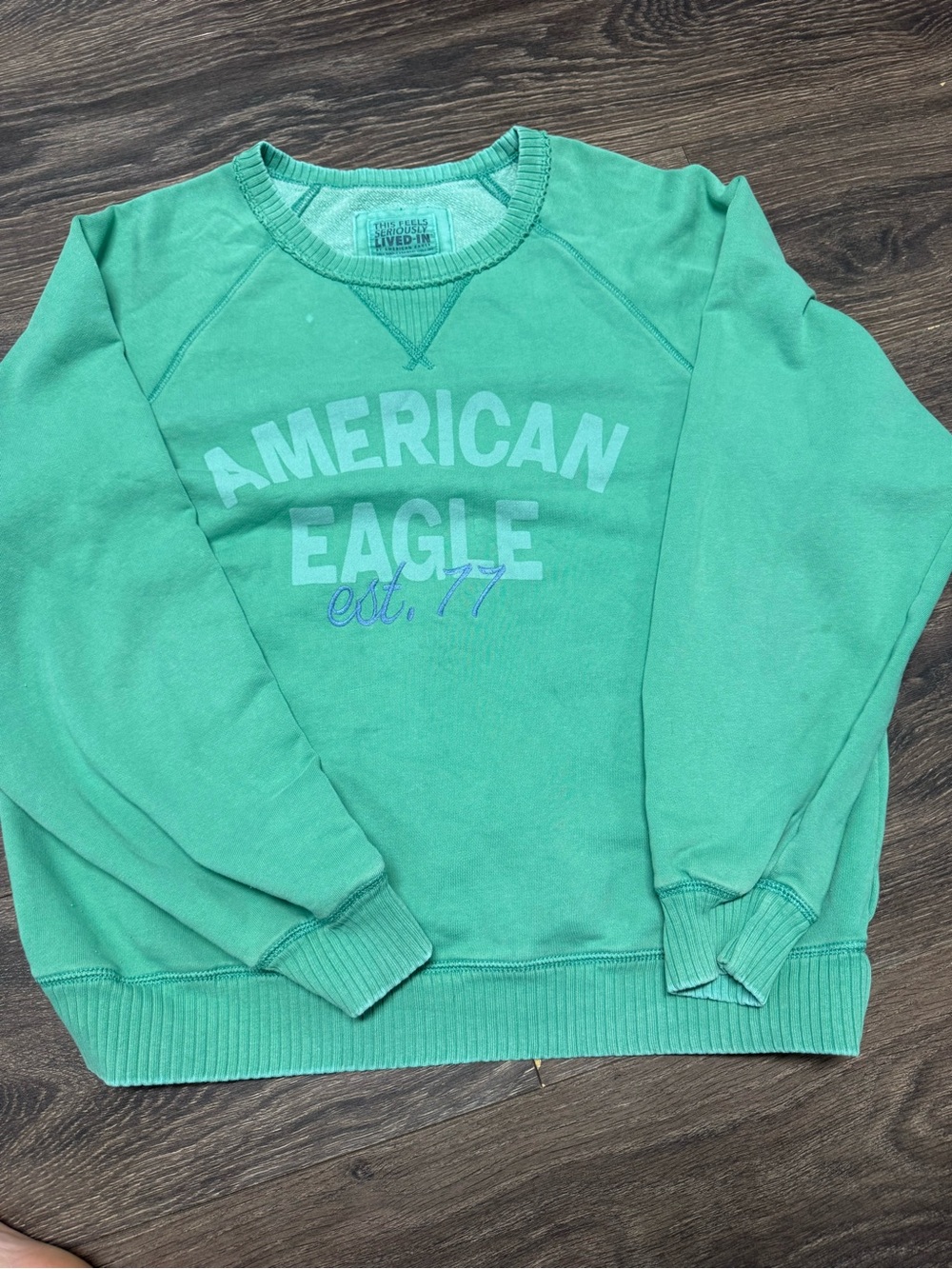 American Eagle Outfitters Mint Green Pullover Sweatshirt